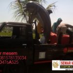 Patung Ikan lumba-lumba 081578135034